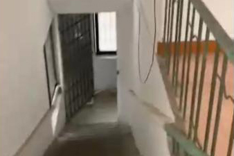 廈門特拍